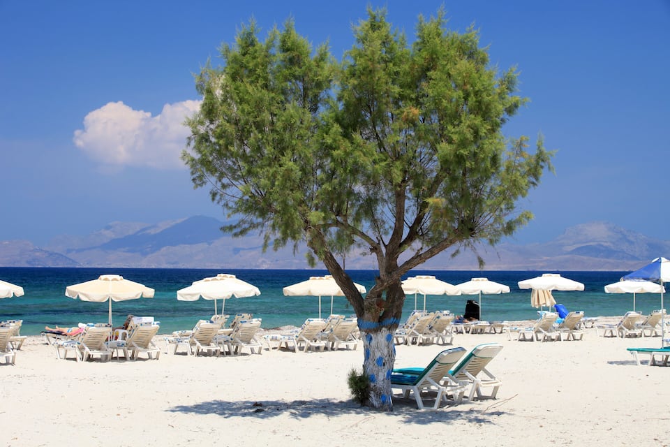A beach with white umbrellas and sun loungers, a large tree, and the sea in the background.