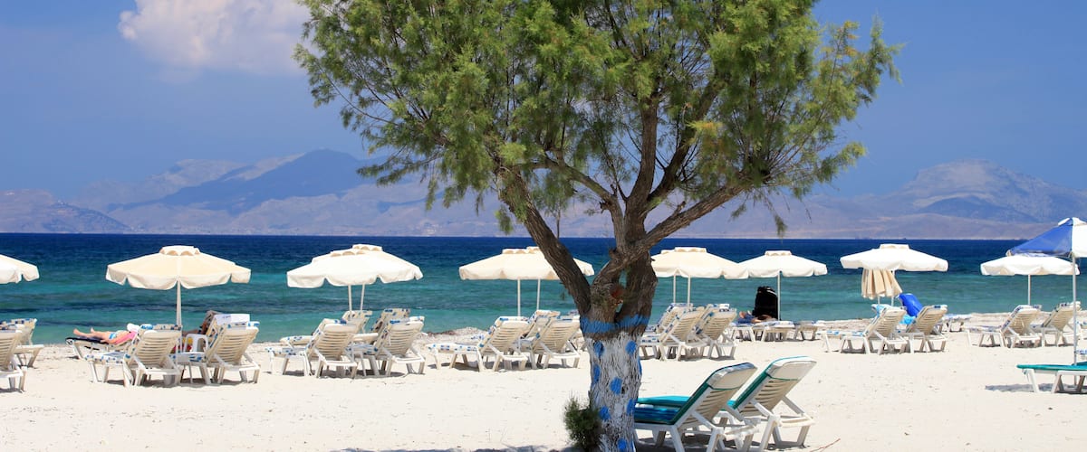A beach with white umbrellas and sun loungers, a large tree, and the sea in the background.