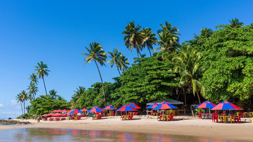 A beach with palm trees, red and blue umbrellas, and beach chairs.
