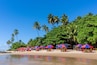 A beach with palm trees, red and blue umbrellas, and beach chairs.