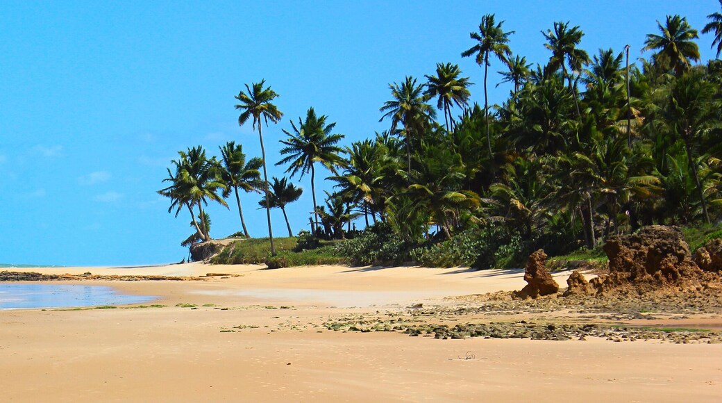Panoramic view of Coqueirinho Beach: palm trees, sand, rocks, sea and blue sky