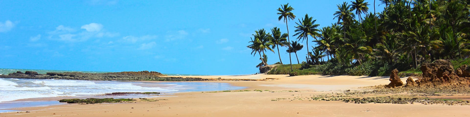 Panoramic view of Coqueirinho Beach: palm trees, sand, rocks, sea and blue sky