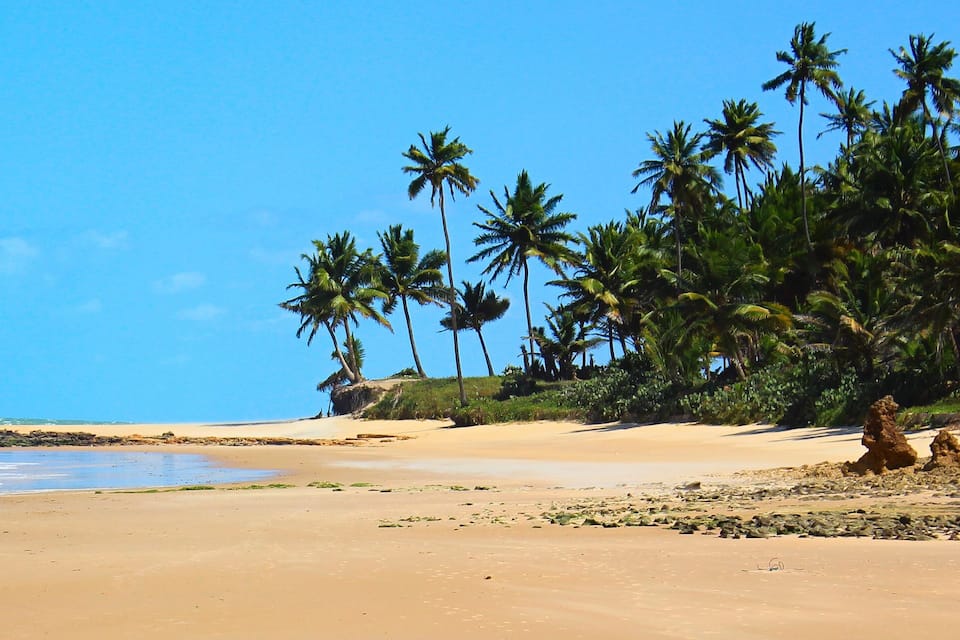 A sandy beach with palm trees and rocky outcrops.