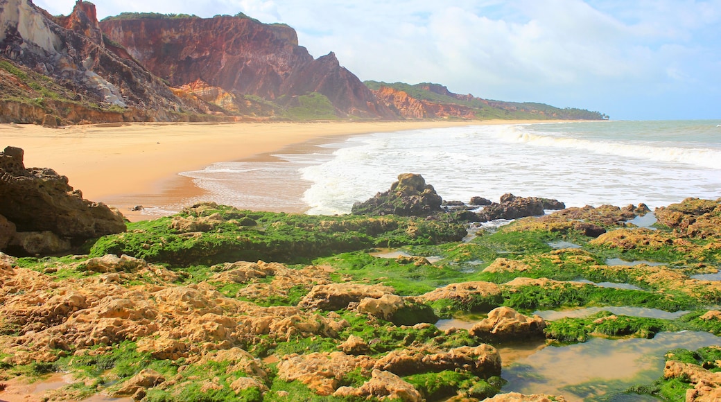 Rocks with moss and water on the foreground, Coqueirinho Beach on the backgroun