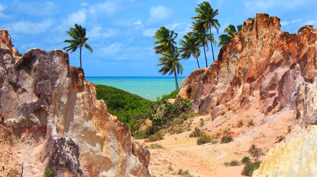 Ocean and palm trees seen from a canyon behind Coqueirinho Beach