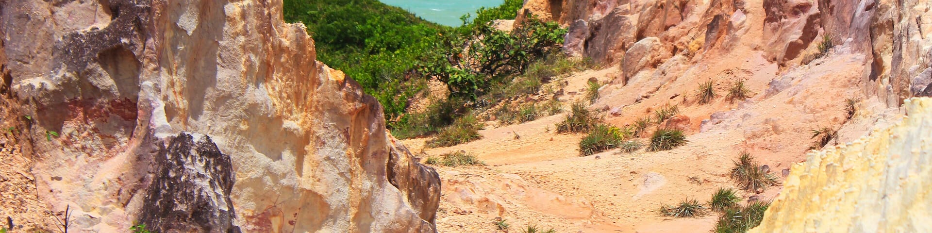 A rocky coastal landscape with palm trees and a clear blue sky.