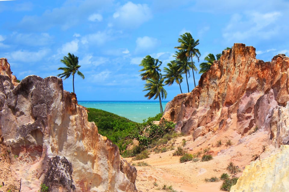 A rocky coastal landscape with palm trees and a clear blue sky.
