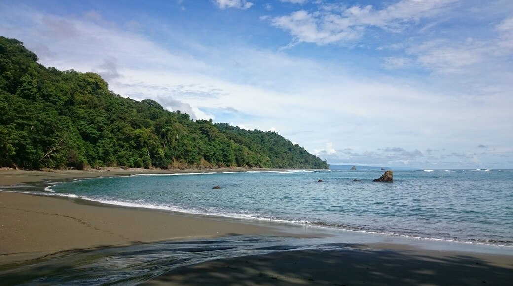 This place is unique and a marvel for all biologists for the amount of plants and animals you can find here. The 20km trail is hard but so much worth it