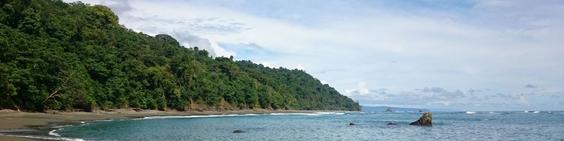 This place is unique and a marvel for all biologists for the amount of plants and animals you can find here. The 20km trail is hard but so much worth it
