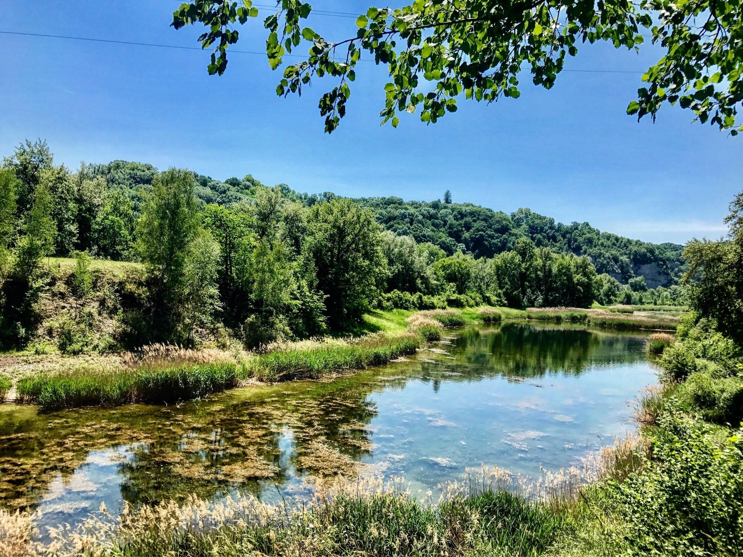 A calm river surrounded by lush greenery and trees.