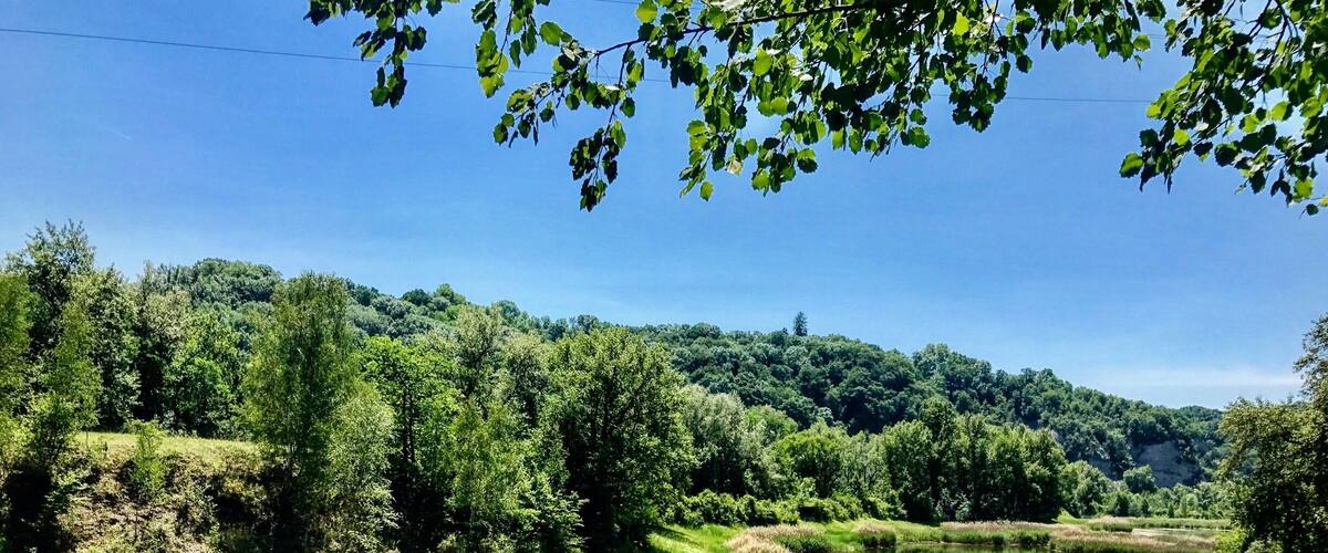 A calm river surrounded by lush greenery and trees.