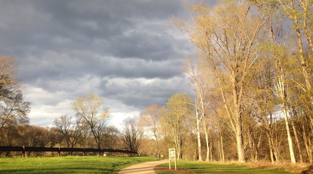 South Park, Pittsburgh, PA -Really peaceful walking trail, the calm before the storm.