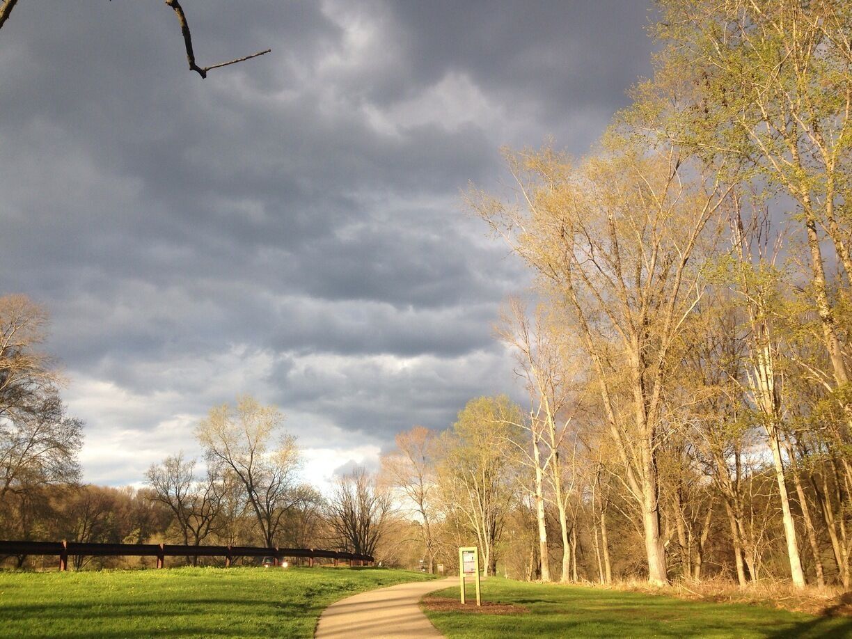 A park with a dirt path, trees, and a cloudy sky.
