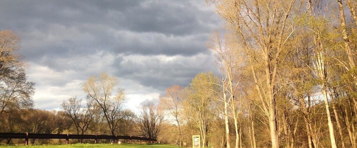 A park with a dirt path, trees, and a cloudy sky.