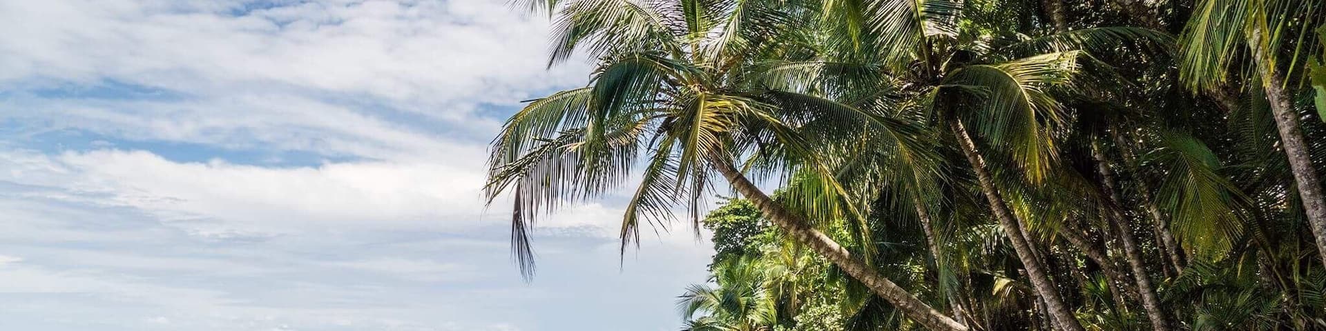 Empty beautiful beaches all around the caribbean side in Costa Rica, one of my favorite countries i have ever been. So peacfull everywhere❤️