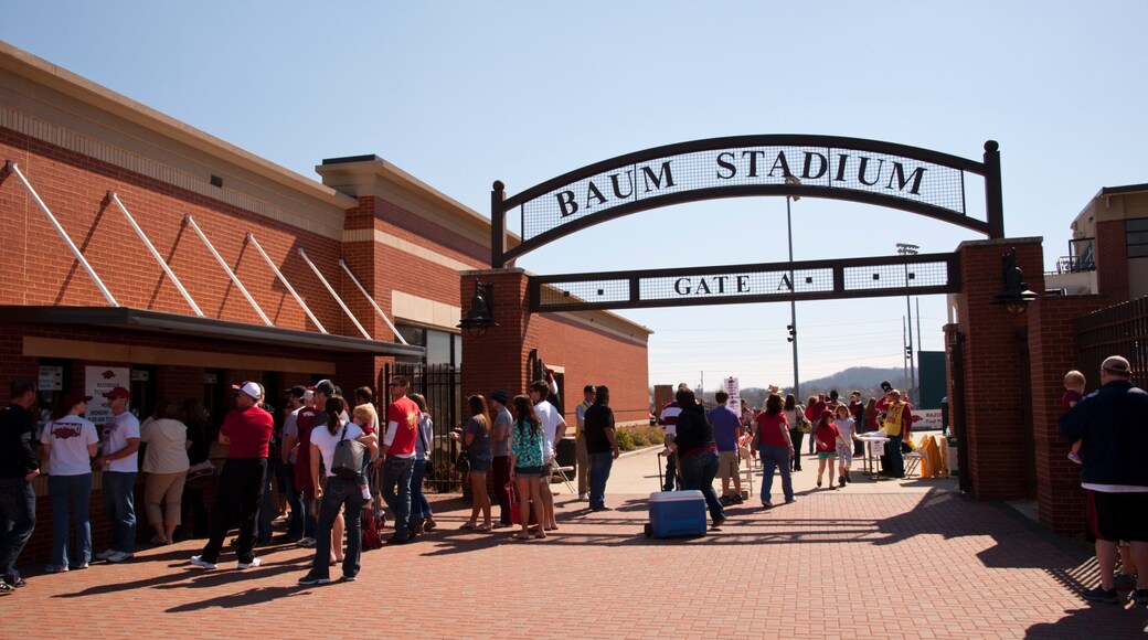 バウム スタジアム