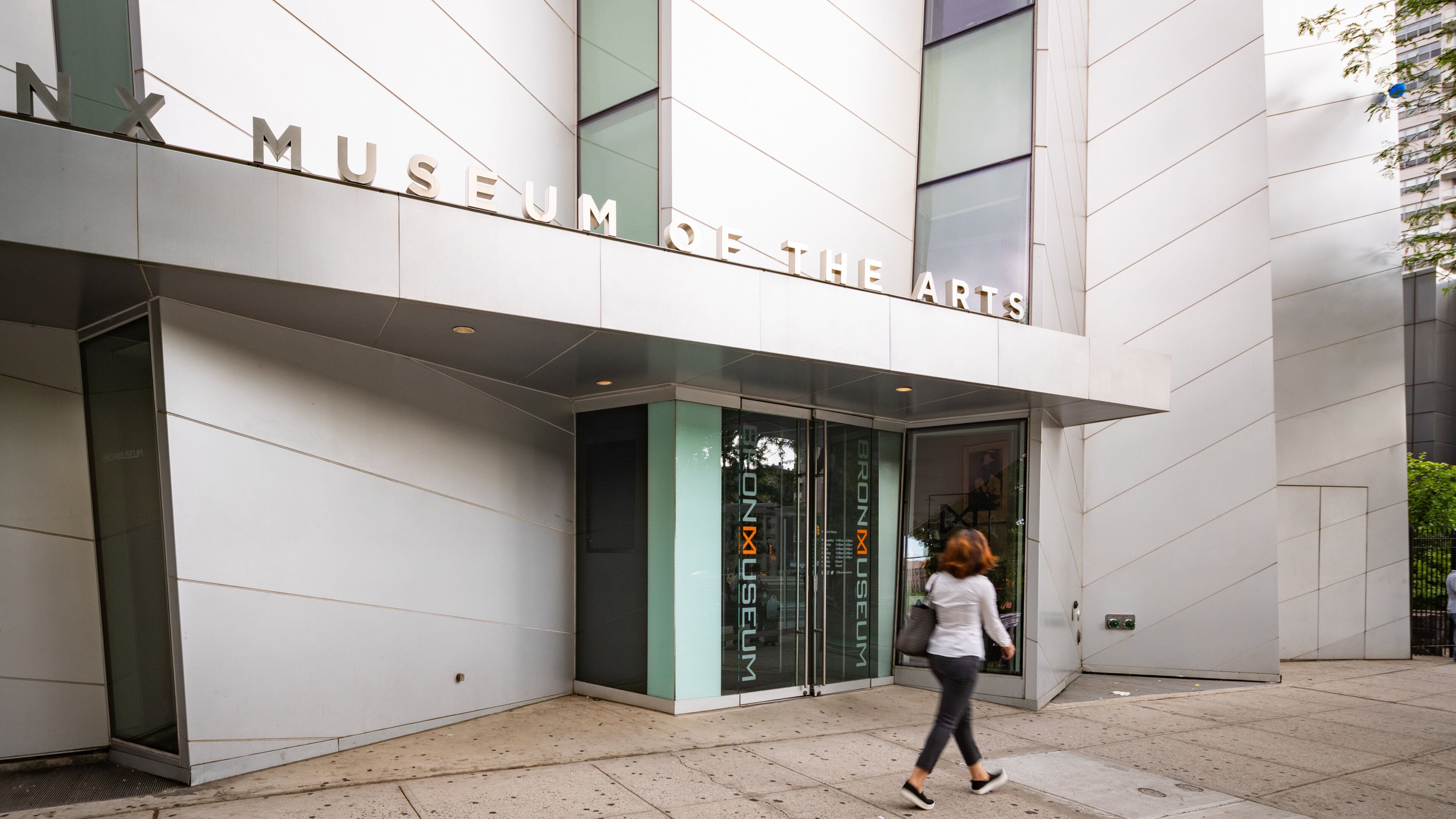 The Bronx Museum of the Arts showing street scenes and signage as well as an individual femail