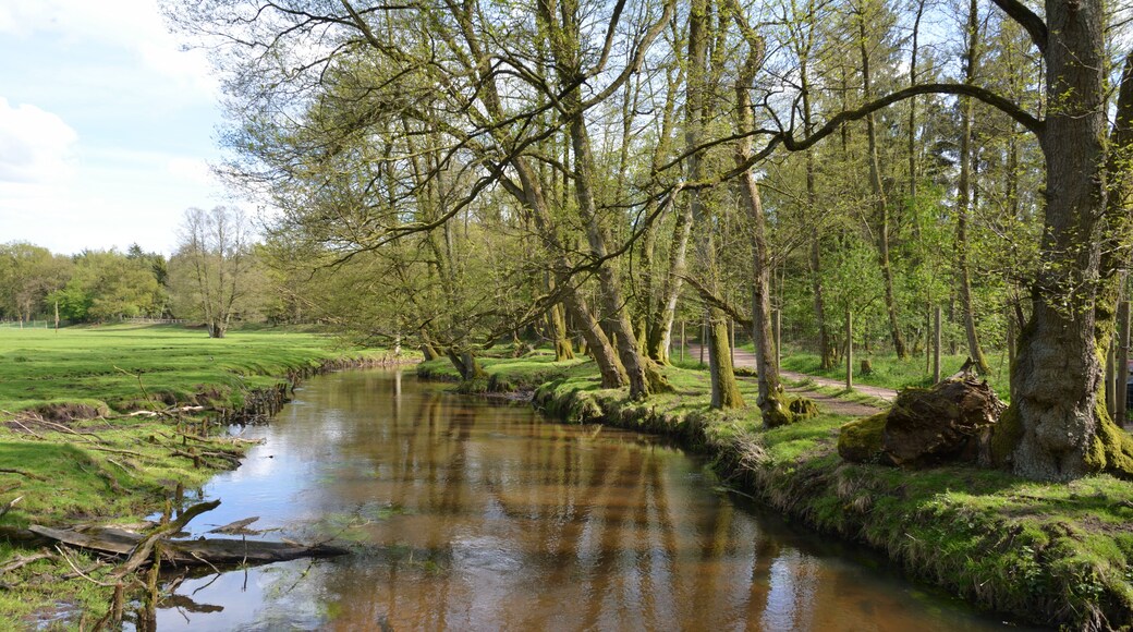 This is a picture of the protected area listed at WDPA under the ID