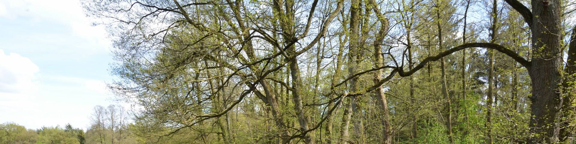 This is a picture of the protected area listed at WDPA under the ID