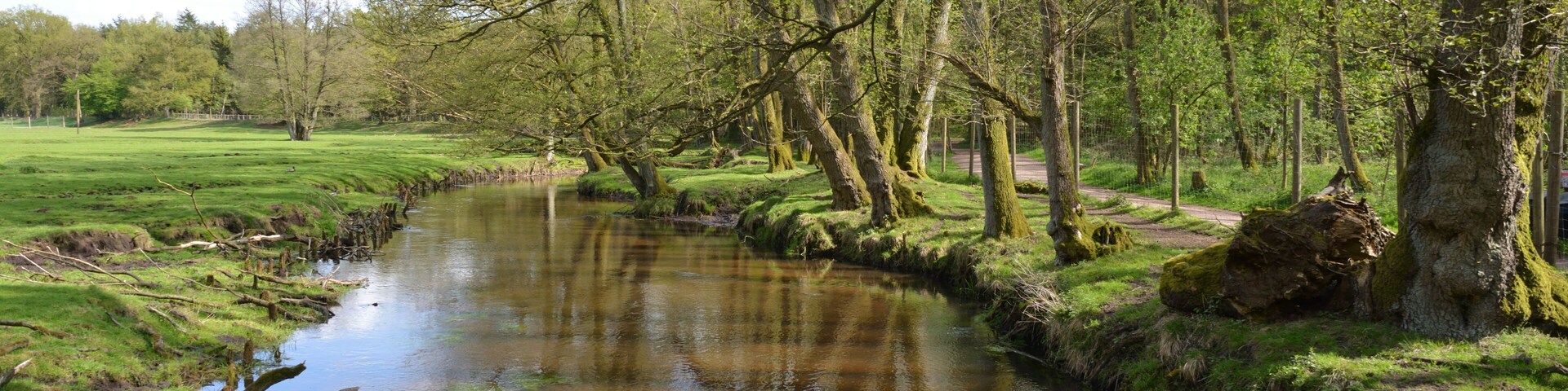 This is a picture of the protected area listed at WDPA under the ID