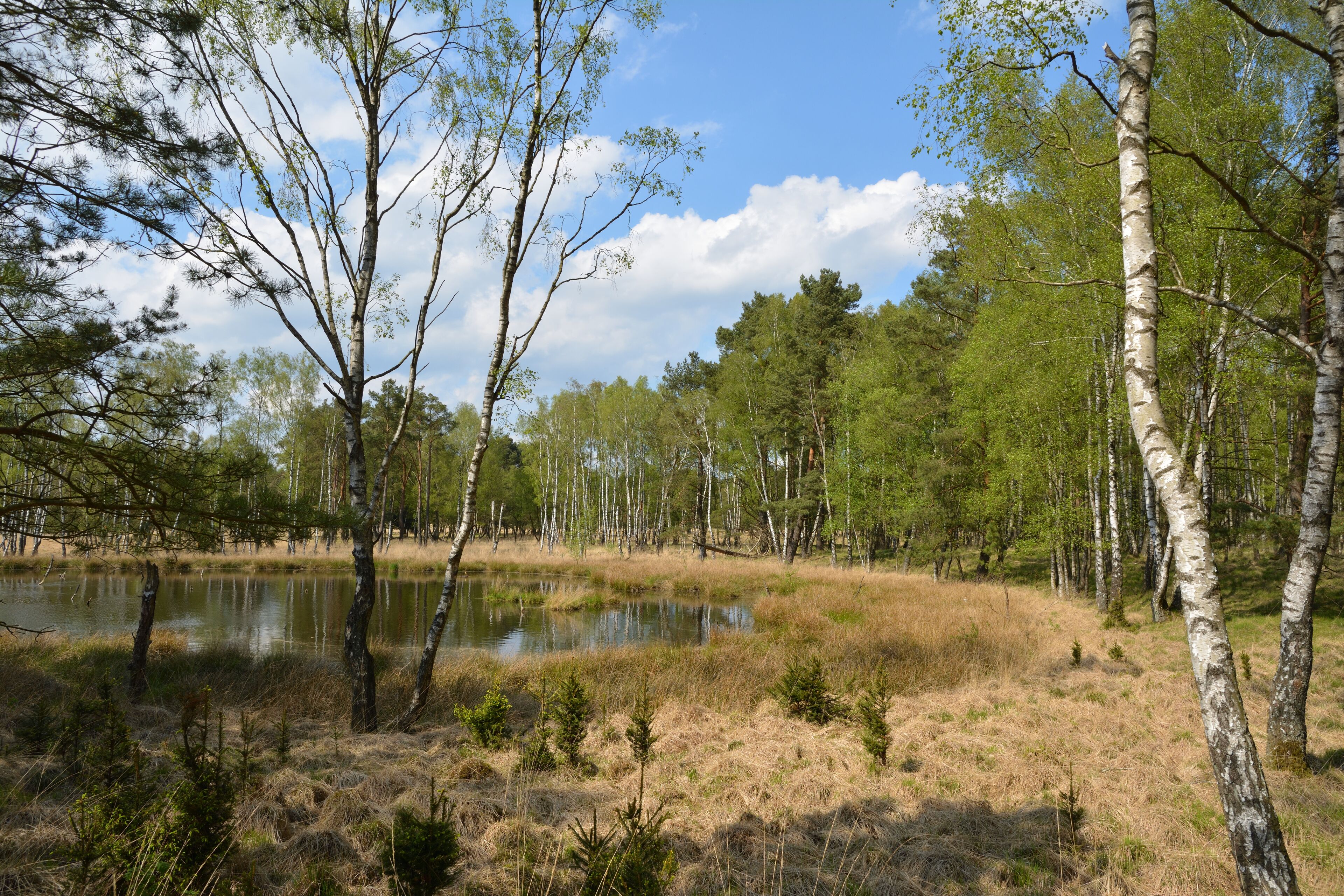 This is a picture of the protected area listed at WDPA under the ID