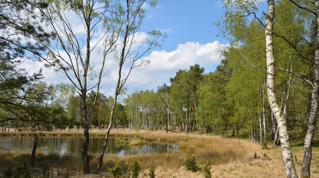 This is a picture of the protected area listed at WDPA under the ID