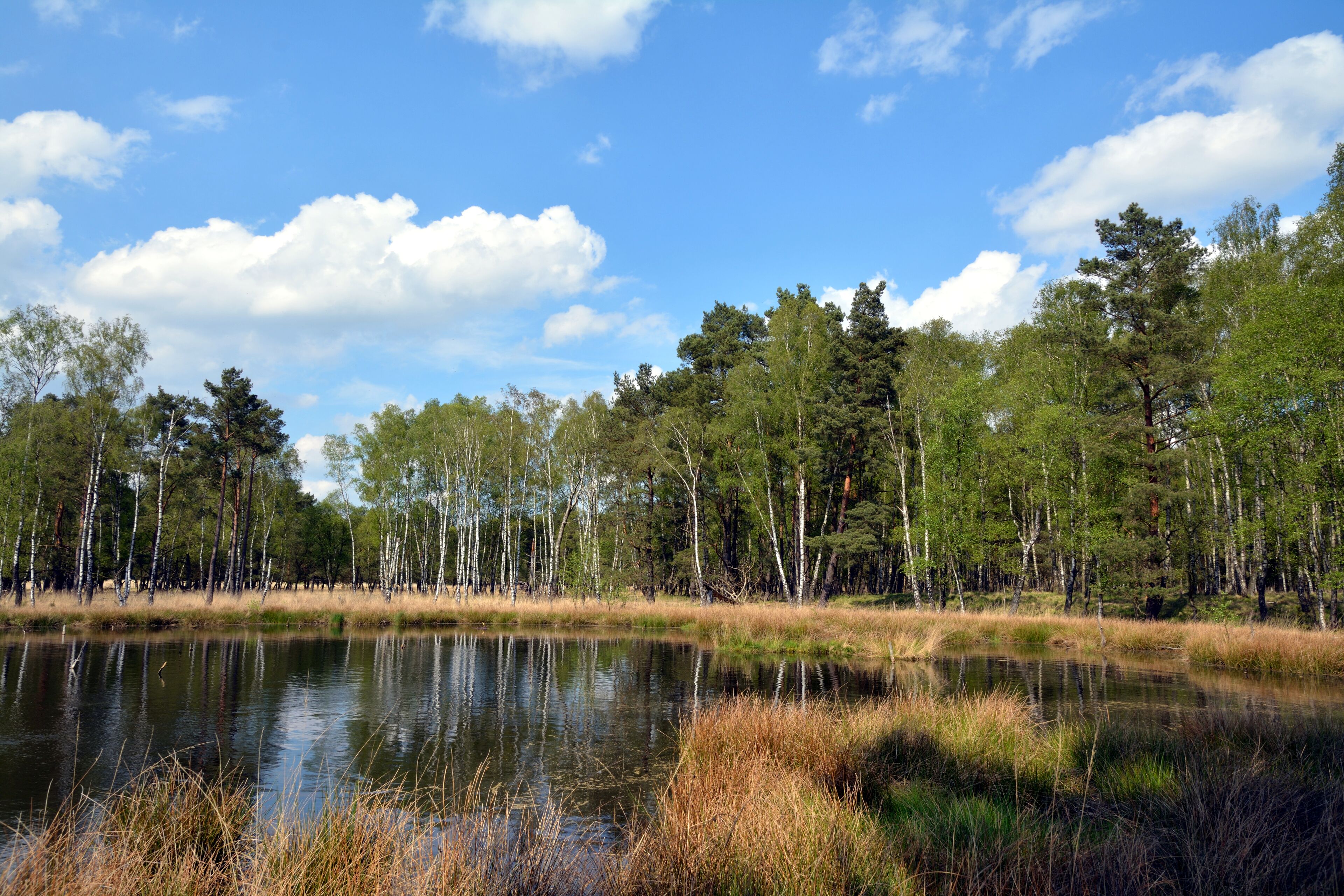 This is a picture of the protected area listed at WDPA under the ID