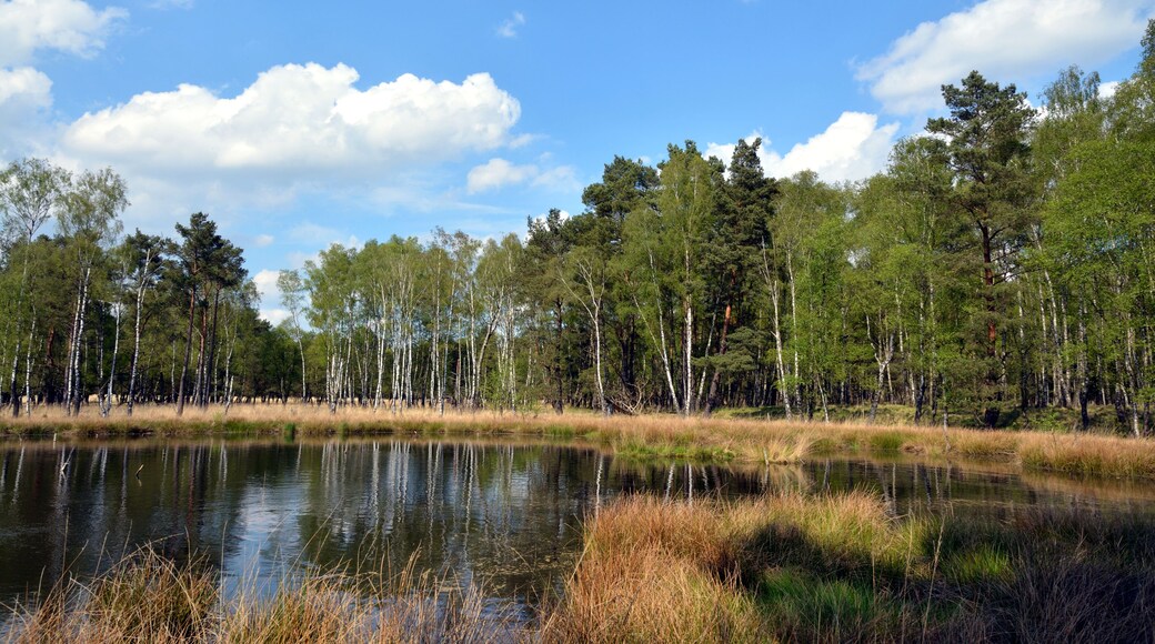 This is a picture of the protected area listed at WDPA under the ID