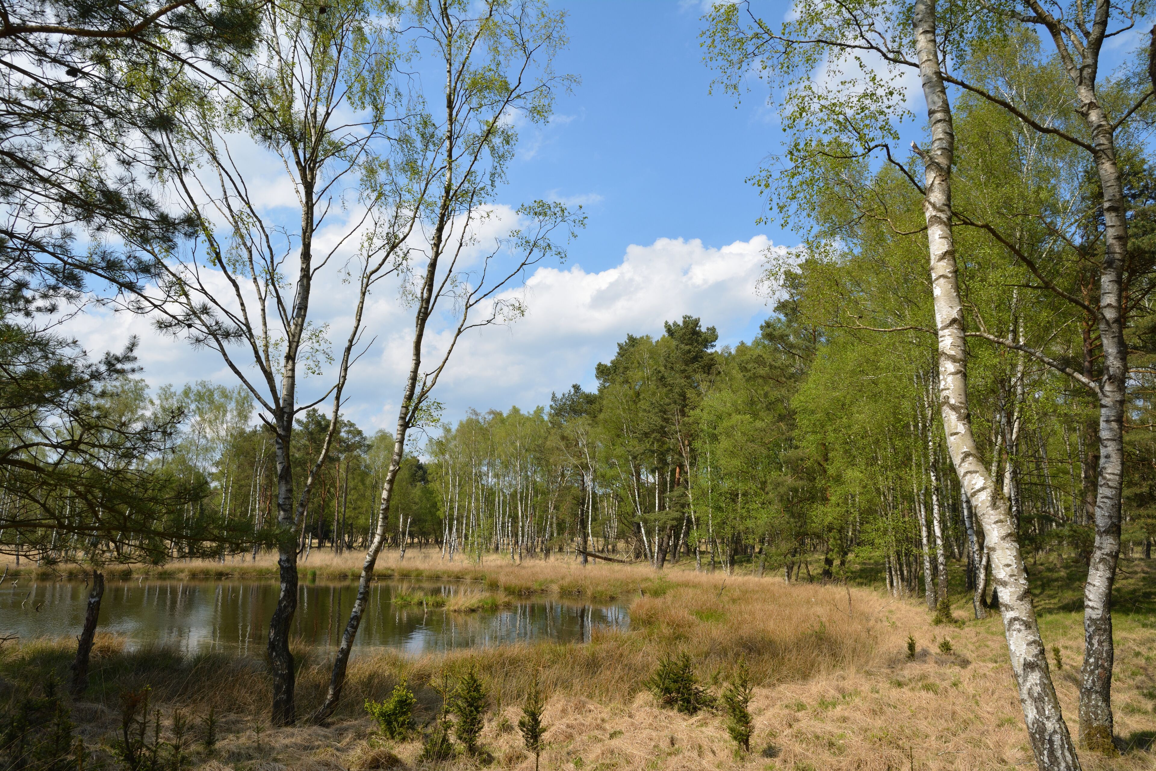 This is a picture of the protected area listed at WDPA under the ID