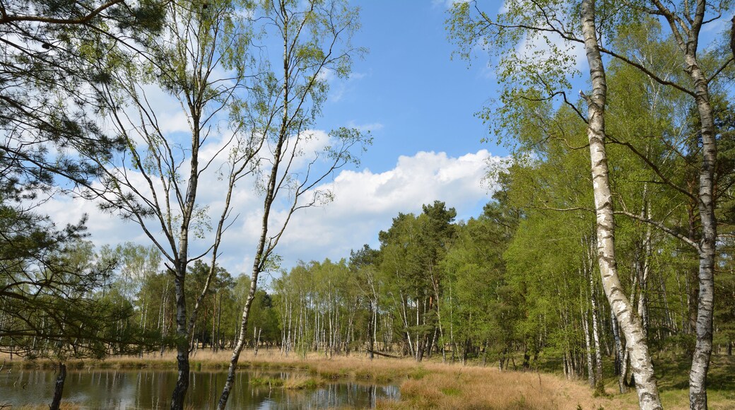 This is a picture of the protected area listed at WDPA under the ID