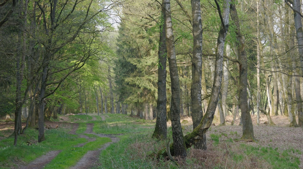 Valley of the Osterau near Heidmühlen