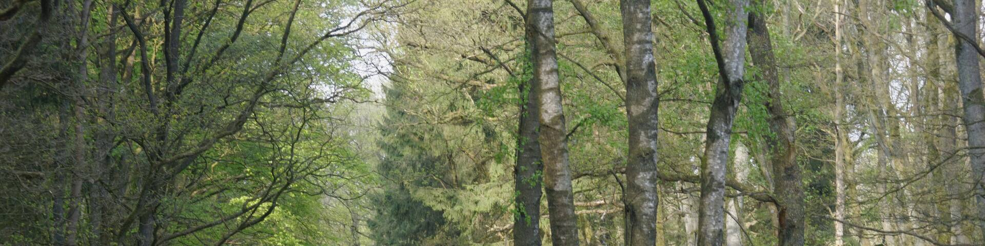 Valley of the Osterau near HeidmĂŒhlen