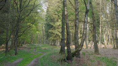 Valley of the Osterau near Heidmühlen