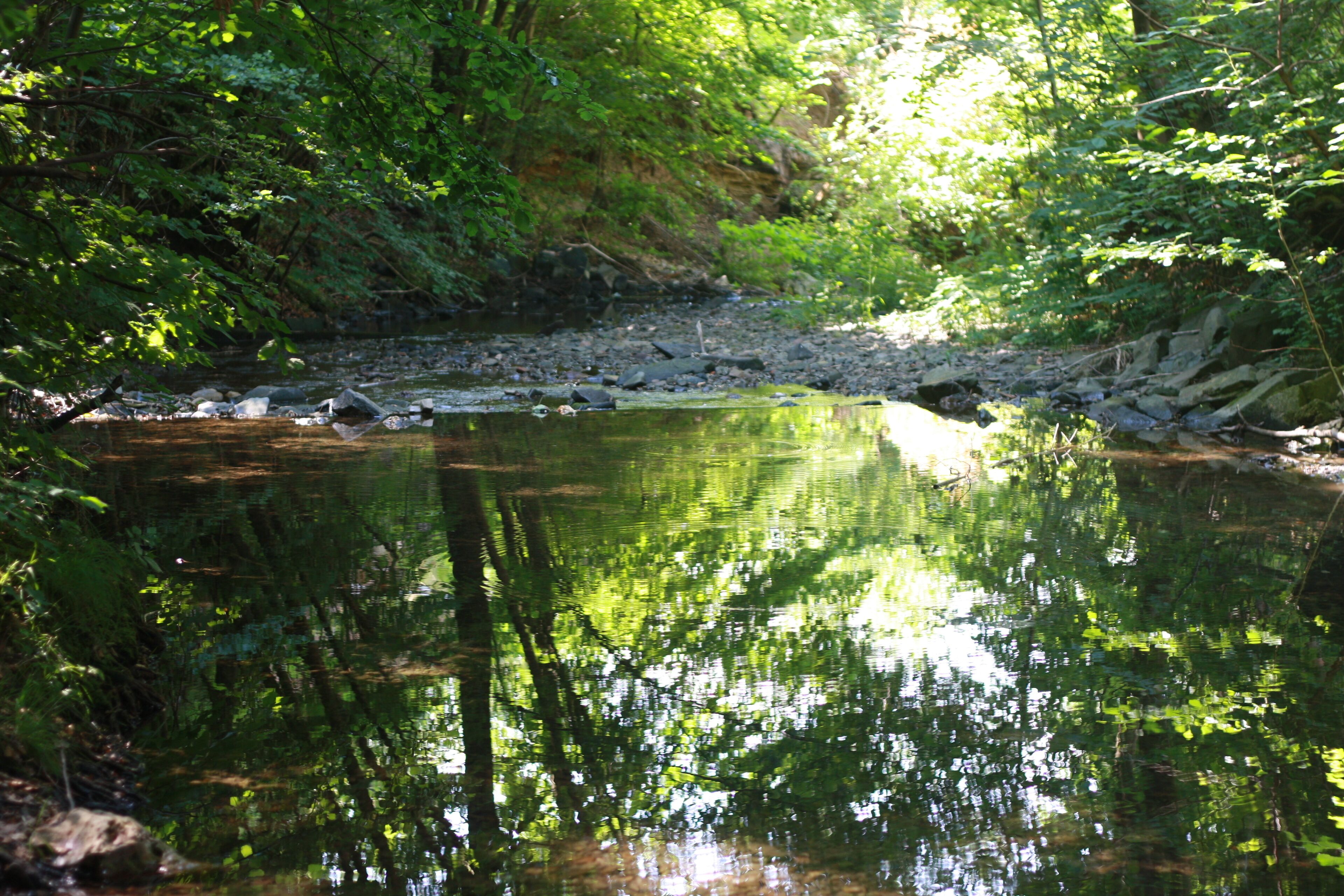 Zisterzienser Kloster Walkenried - südl. Harz Fließendes Wasser für alles - Voraussetzung für die Zisterzienser