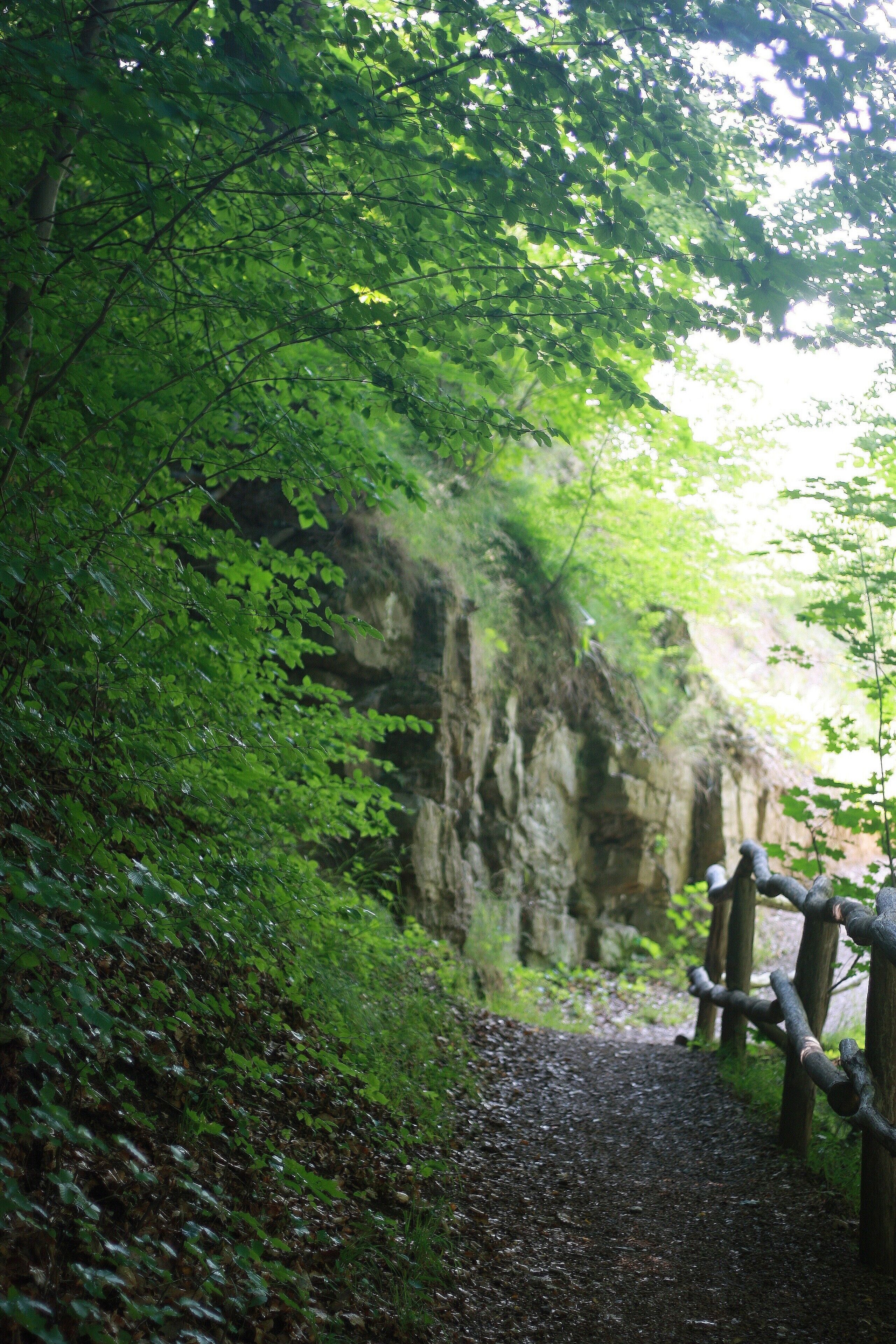 Zisterzienser Kloster Walkenried - südl. Harz Geologische Formation - Kupferschiefer