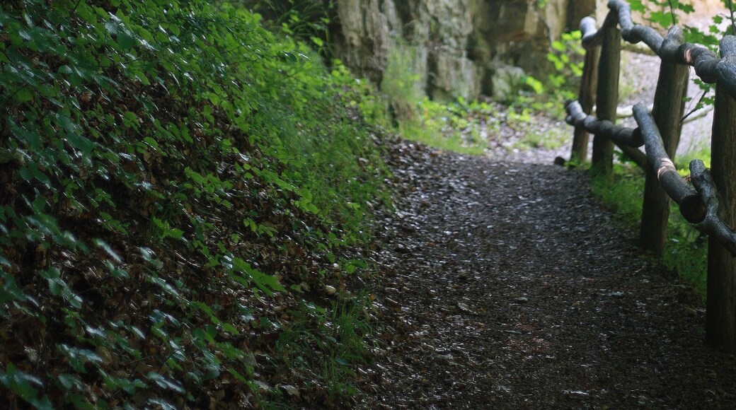Zisterzienser Kloster Walkenried - südl. Harz Geologische Formation - Kupferschiefer