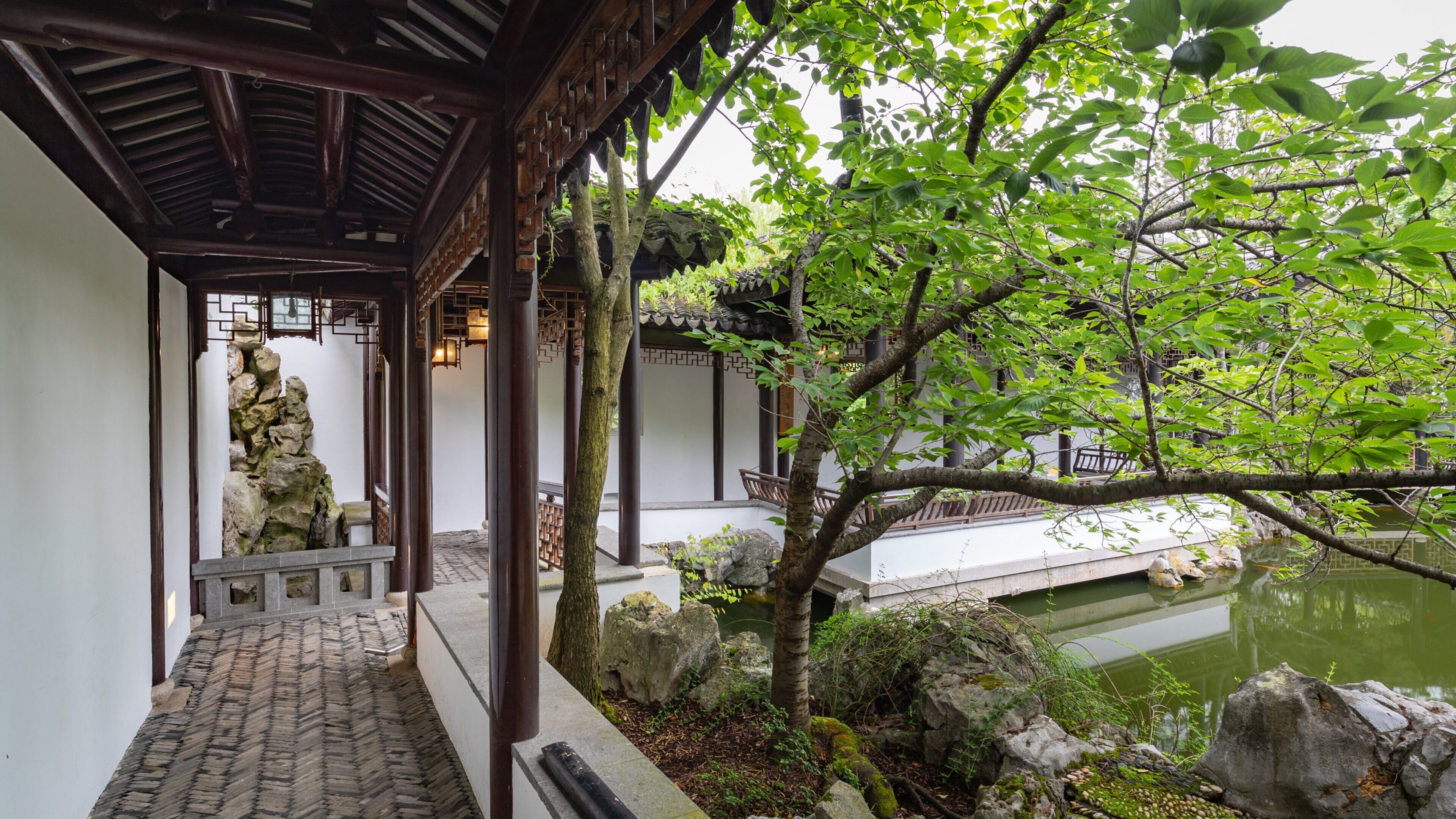 New York Chinese Scholar\'s Garden showing a pond and a garden