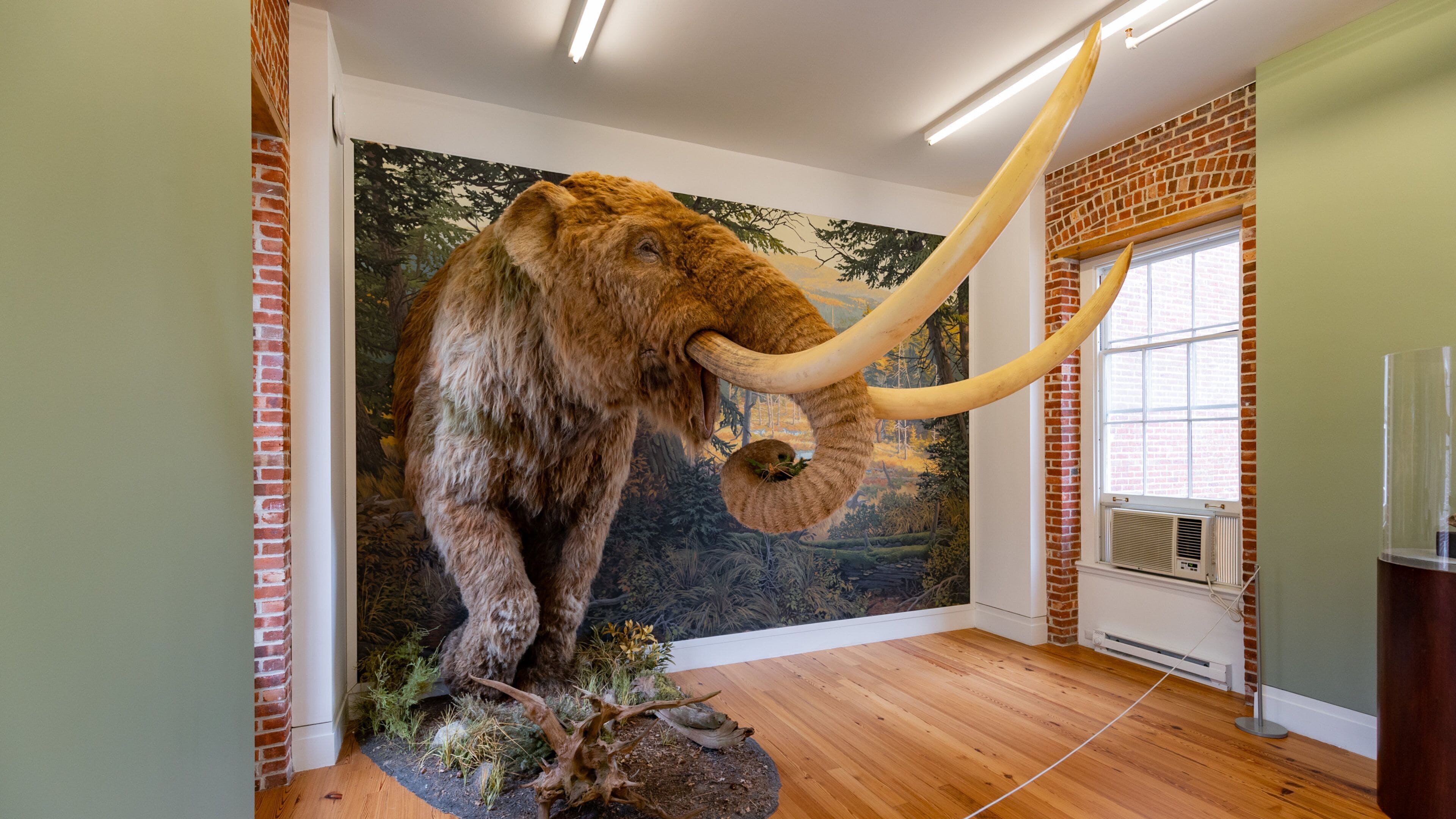 Staten Island Museum showing interior views