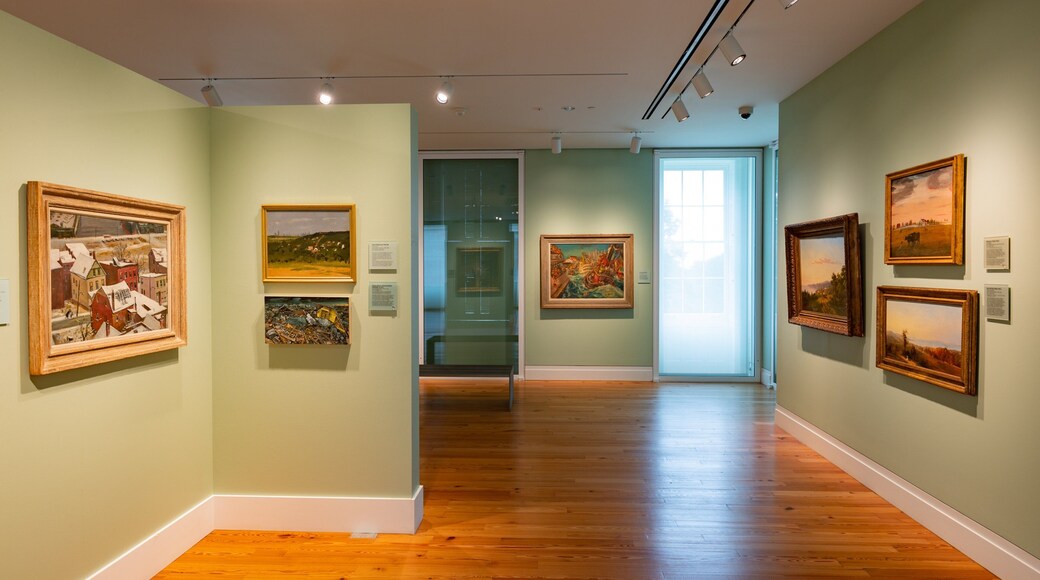 Staten Island Museum featuring art and interior views