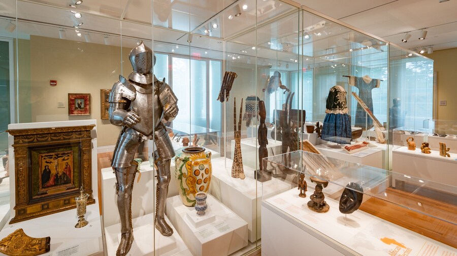 Staten Island Museum which includes interior views and heritage elements