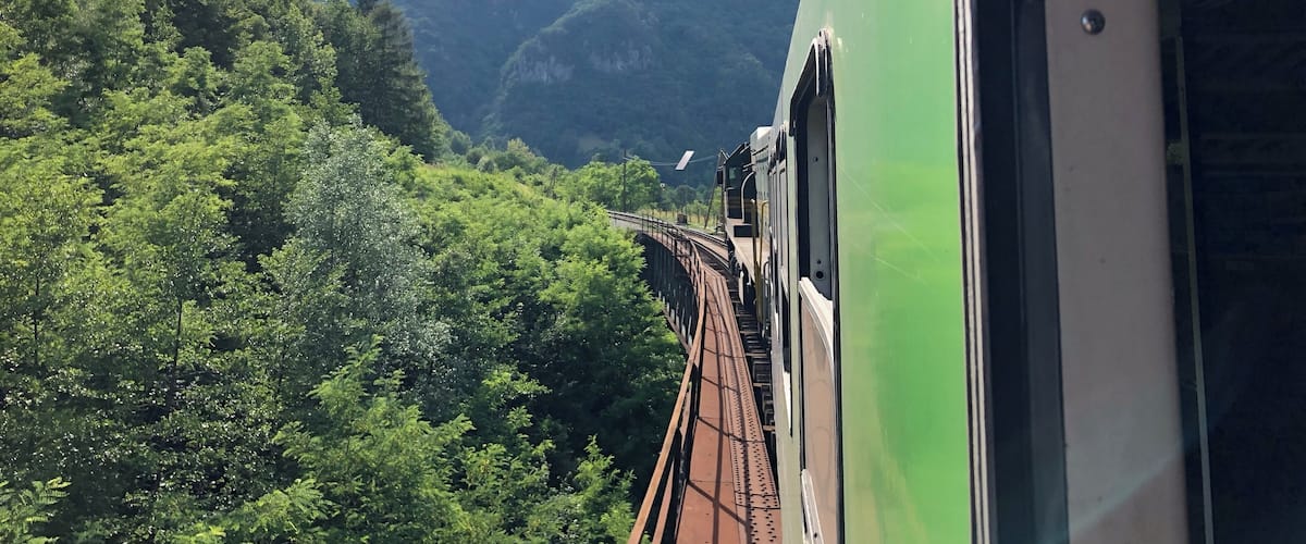 A train traveling through a lush green forest with mountains in the background.