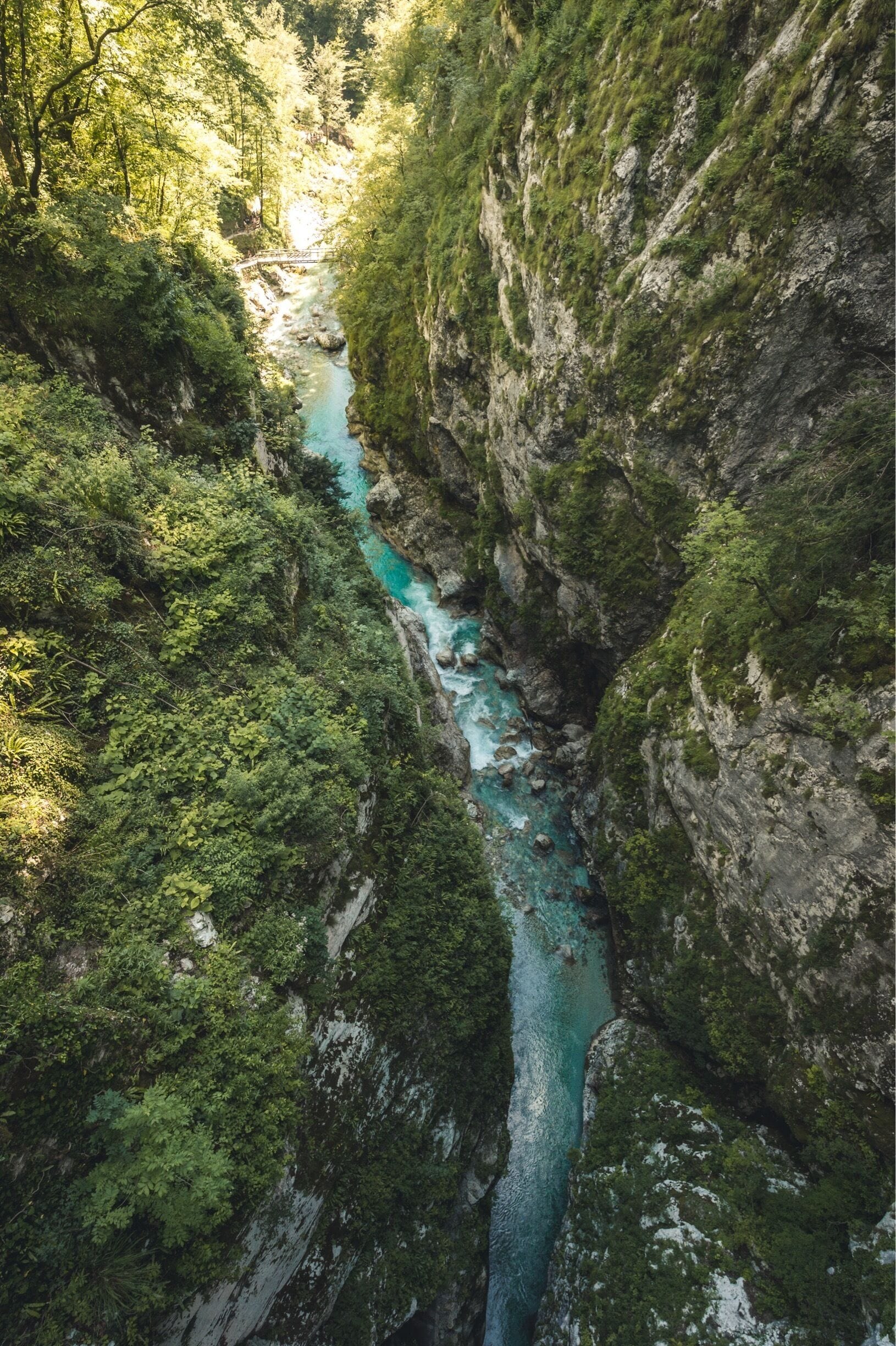 A turquoise river flowing through a narrow canyon with dense green vegetation and rocky cliffs.