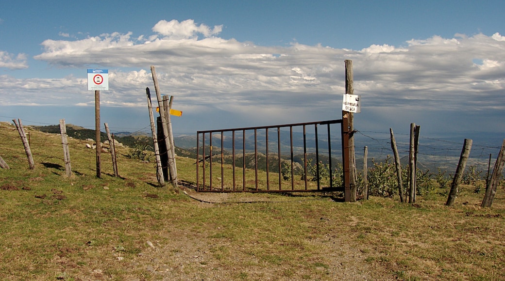 Frontière au Col du Puits du Pic du Néoulous, Montesquieu-des-Albères (Pyrénées-Orientales, Languedoc-Roussillon, France), Laroque-des-Albères (Pyrénées-Orientales, Languedoc-Roussillon, France), la Jonquera (Haut-Ampurdan, Gérone, Catalogne, Espagne)