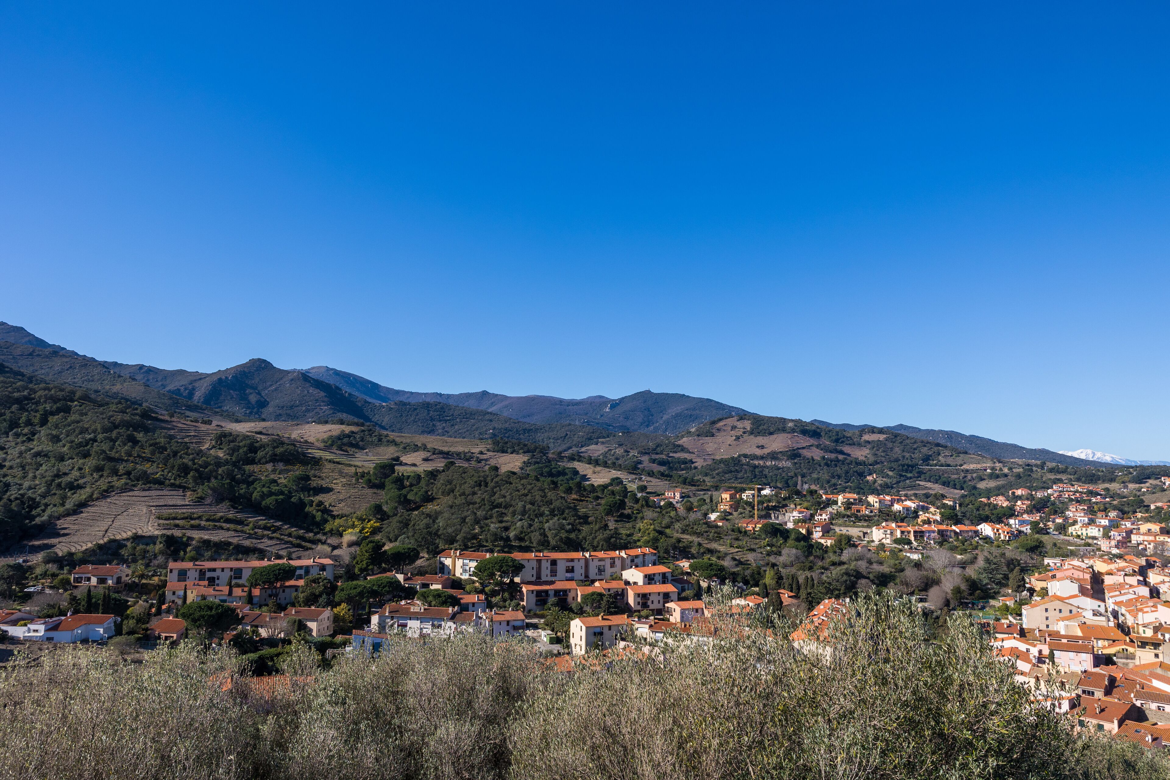 Laroque-des-Albères