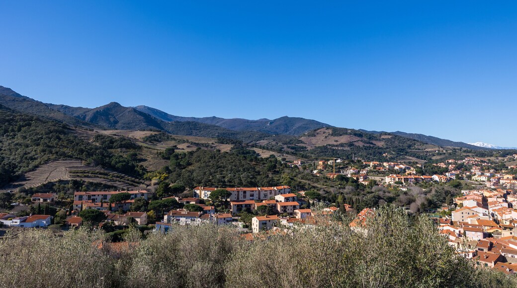 Laroque-des-Albères