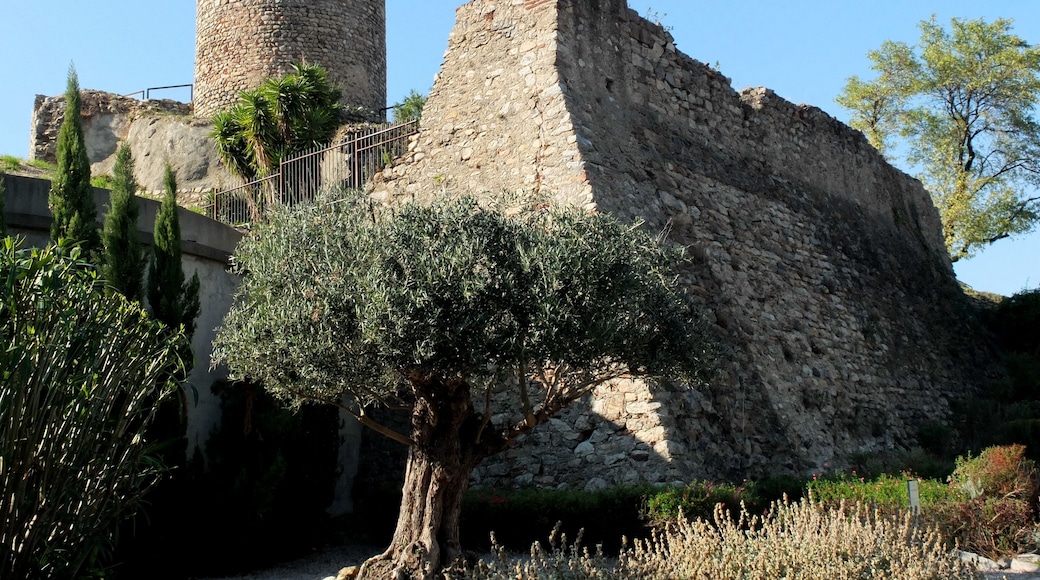 Château de Laroque-des-Albères, France, 12th ctry. (view southwest).