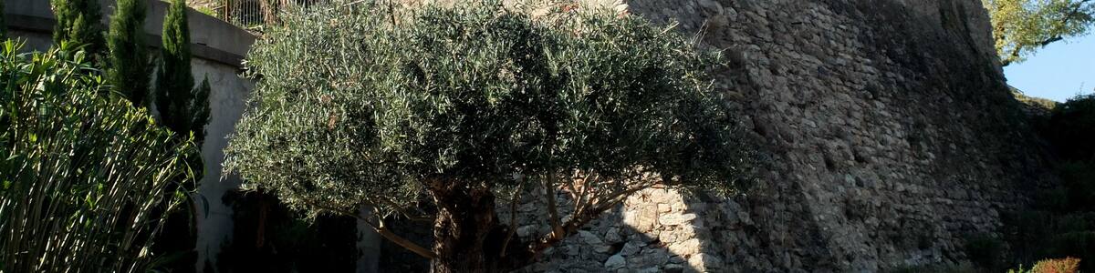 Château de Laroque-des-Albères, France, 12th ctry. (view southwest).