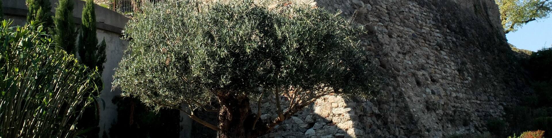 Château de Laroque-des-Albères, France, 12th ctry. (view southwest).