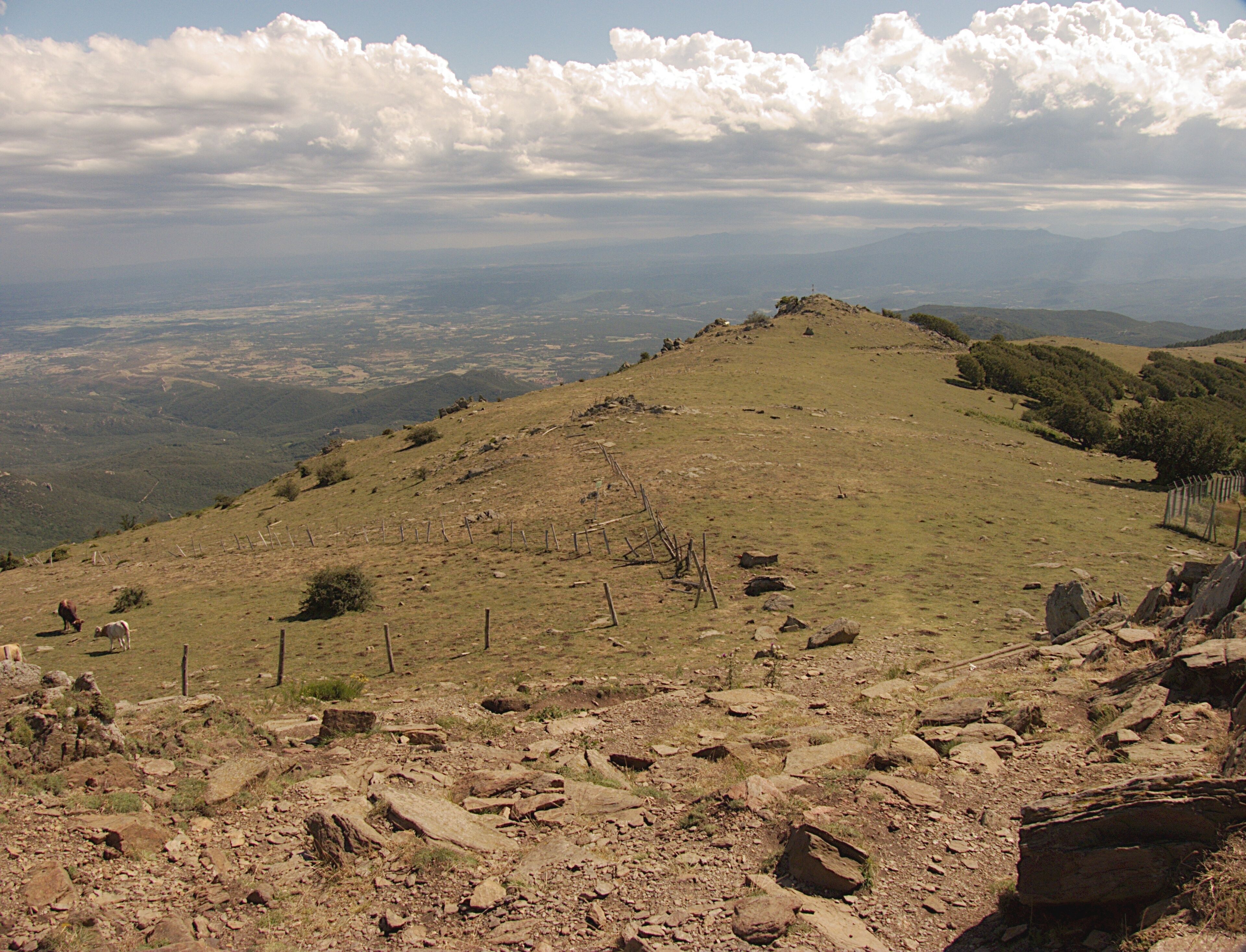 Crête de la montée du Pic du Néoulous, Montesquieu-des-Albères (Pyrénées-Orientales, Languedoc-Roussillon, France), Laroque-des-Albères (Pyrénées-Orientales, Languedoc-Roussillon, France), la Jonquera (Haut-Ampurdan, Gérone, Catalogne, Espagne)