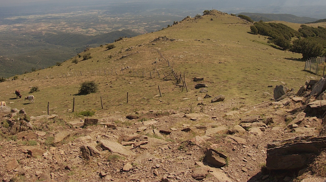 Crête de la montée du Pic du Néoulous, Montesquieu-des-Albères (Pyrénées-Orientales, Languedoc-Roussillon, France), Laroque-des-Albères (Pyrénées-Orientales, Languedoc-Roussillon, France), la Jonquera (Haut-Ampurdan, Gérone, Catalogne, Espagne)